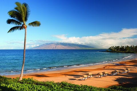 FOUR SEASONS RESORT MAUI AT WAILEA - Photo 66