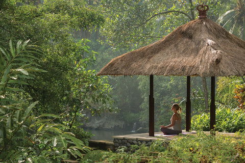 FOUR SEASONS RESORT BALI AT SAYAN - Photo 21