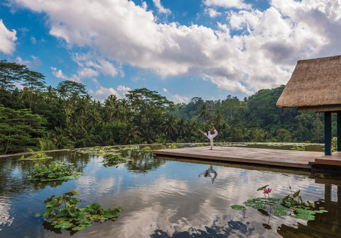 FOUR SEASONS RESORT BALI AT SAYAN - Photo 20