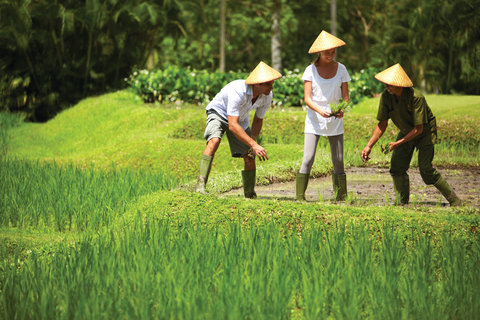 FOUR SEASONS RESORT BALI AT SAYAN - Photo 13
