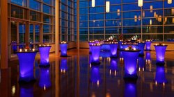  - Harlows Casino Resort & Spa Greenville