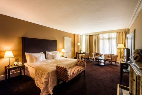 LAUSANNE PALACE - Photo 71