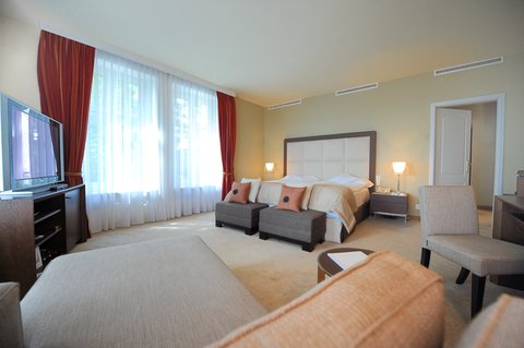 LAUSANNE PALACE - Photo 75