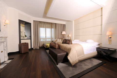 LAUSANNE PALACE - Photo 76