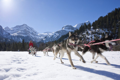 THE ALPINA GSTAAD LEG - Photo 18