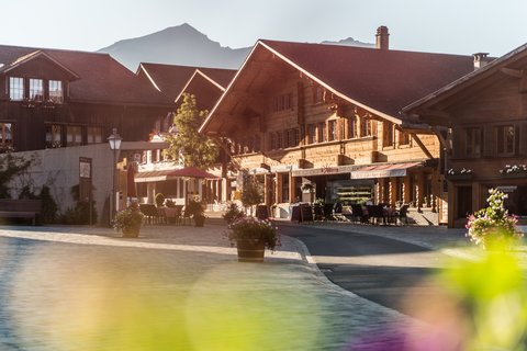 THE ALPINA GSTAAD LEG - Photo 22