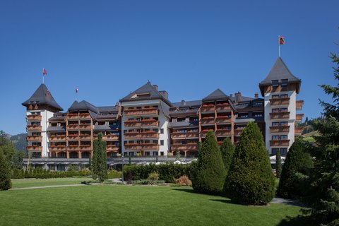 THE ALPINA GSTAAD LEG - Photo 3