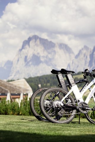 COMO ALPINA DOLOMITES - Photo 63