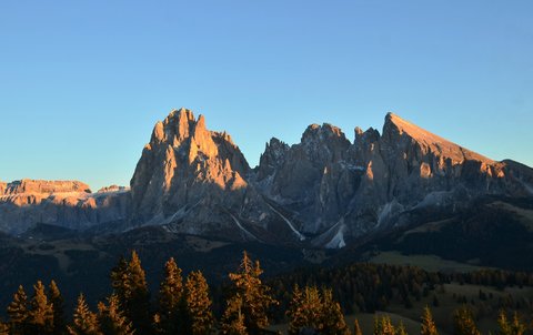COMO ALPINA DOLOMITES - Photo 64