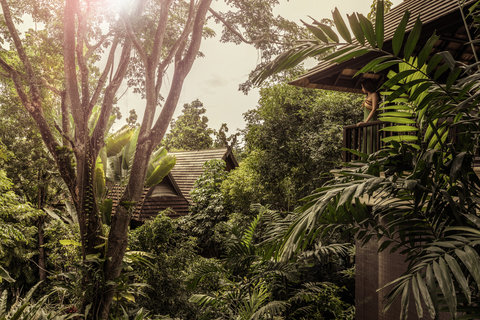 FOUR SEASONS RESORT CHIANG MAI - Photo 31