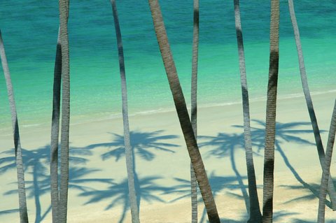 FOUR SEASONS RESORT KOH SAMUI - Photo 19