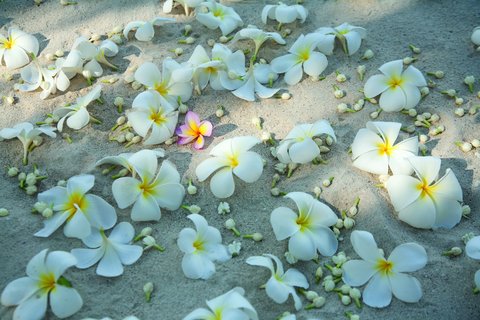 FOUR SEASONS RESORT KOH SAMUI - Photo 47