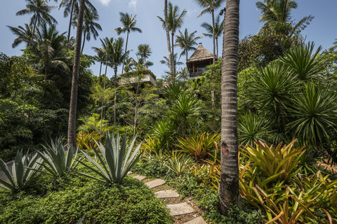 FOUR SEASONS RESORT KOH SAMUI - Photo 14