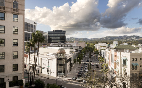 BEVERLY WILSHIRE - BEVERLY HILLS A FOUR SEASONS HOTEL - Photo 35