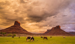  - Sorrel River Ranch Resort & Spa Moab
