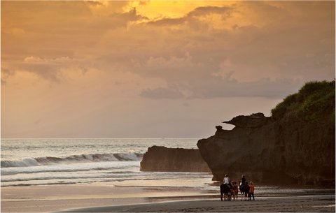 SOORI BALI - Photo 27