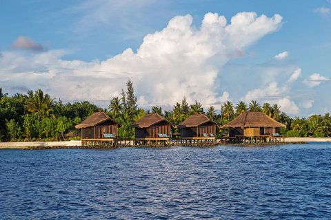 OZEN RESERVE BOLIFUSHI - Photo 20