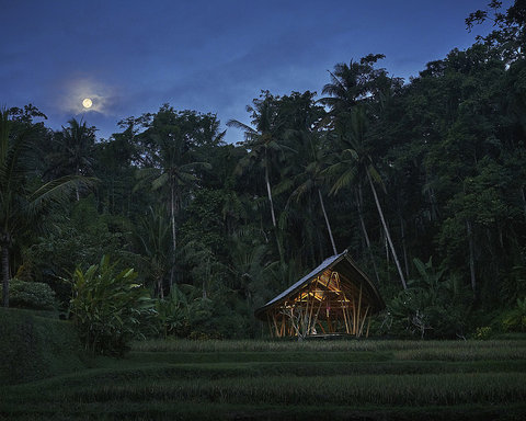 FOUR SEASONS RESORT BALI AT SAYAN - Photo 32