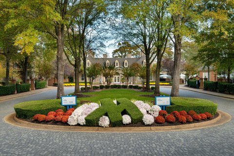 Entrance - Driveway