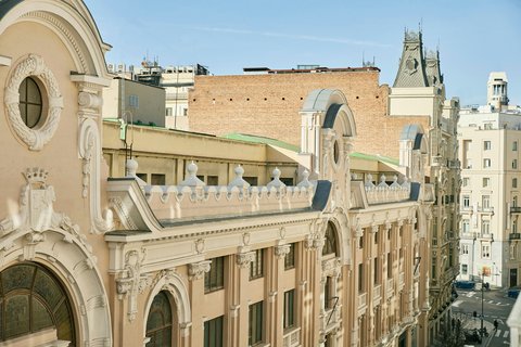 THE PALACE A LUXURY COLLECTION HOTEL MADRID - Photo 191