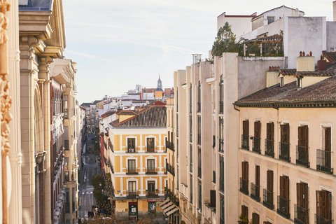 THE PALACE A LUXURY COLLECTION HOTEL MADRID - Photo 193