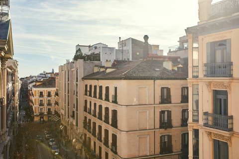 THE PALACE A LUXURY COLLECTION HOTEL MADRID - Photo 194