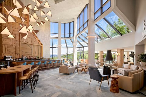 VIEWLINE RESORT SNOWMASS - Photo 67