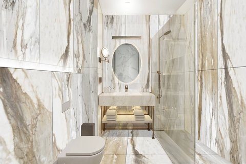 Guest Bathroom- Shower