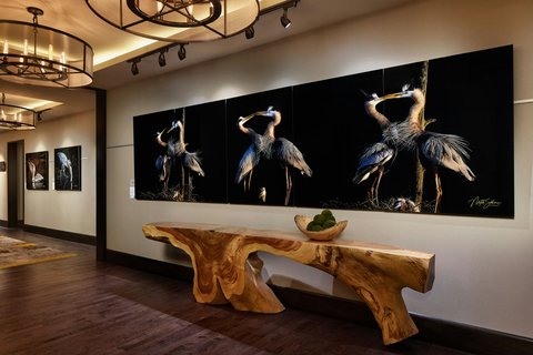 Gallery Hallway