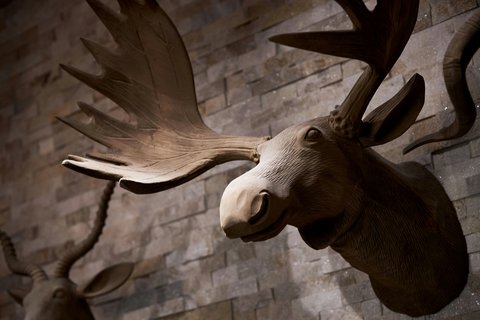 Lobby Details - Moose