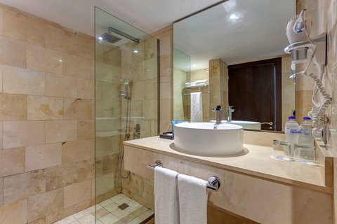 Luxury Guest Room - Bathroom