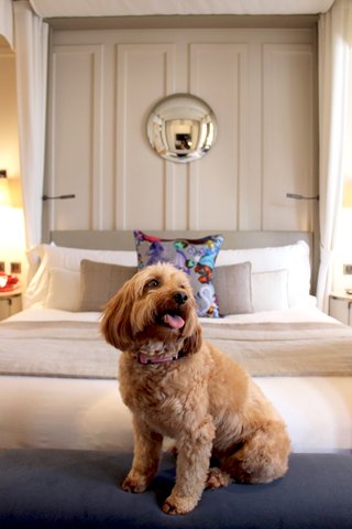 KIMPTON FITZROY LONDON BY IHG - Photo 145