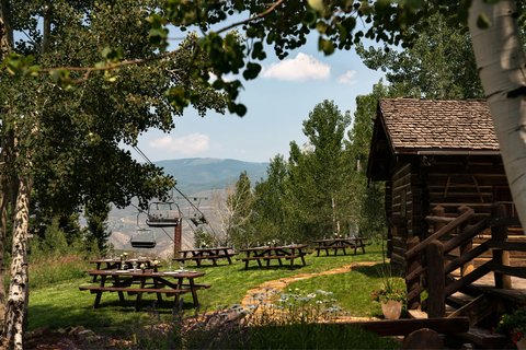 THE RITZ-CARLTON BACHELOR GULCH - Photo 116