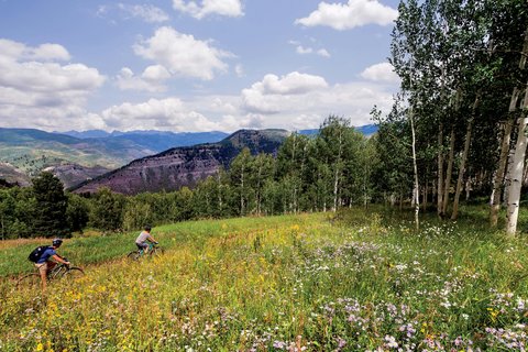 THE RITZ-CARLTON BACHELOR GULCH - Photo 105