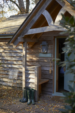 Forest Cabin