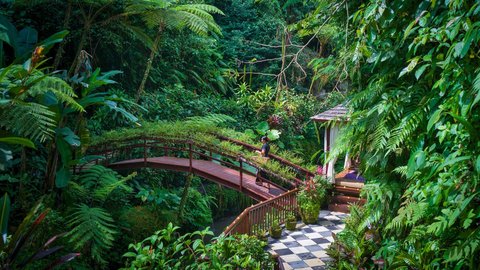 HANGING GARDENS OF BALI - Photo 4