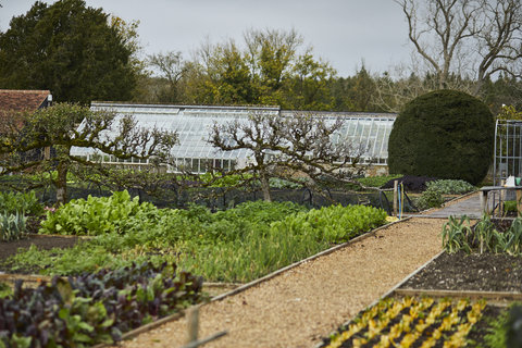 Kitchen Garden