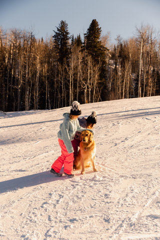 VICEROY SNOWMASS - Photo 153