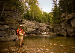  - Omni Bretton Arms Inn