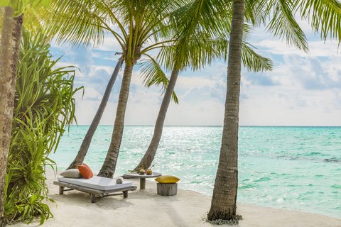 COMO MAALIFUSHI MALDIVES - Photo 31