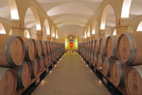 CHÂTEAU DE BERNE - Photo 16