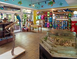  - Omni Amelia Island Plantation Hotel