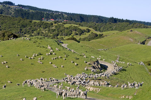 ROSEWOOD CAPE KIDNAPPERS - Photo 16