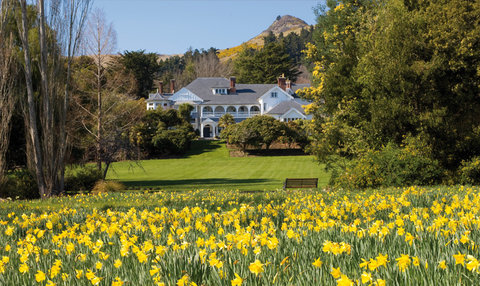 OTAHUNA LODGE - Photo 12