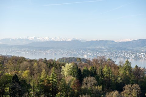 THE DOLDER GRAND - Photo 73