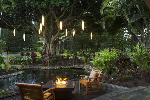 THE RITZ-CARLTON KAPALUA - Photo 19