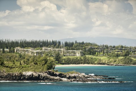 THE RITZ-CARLTON KAPALUA - Photo 18