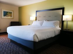  - Holiday Inn Downtown Marina Corpus Christi