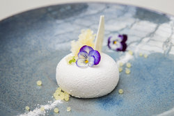  - Kimpton Gray Hotel Loop Chicago