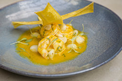  - Kimpton Gray Hotel Loop Chicago